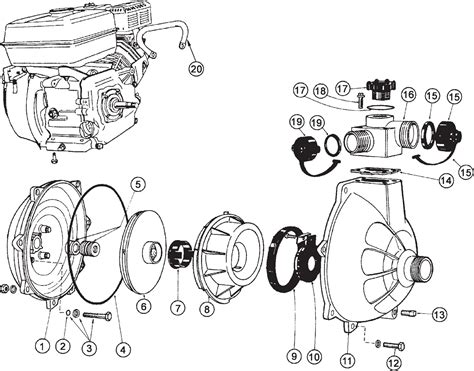 honda  fourtrax parts diagram  wiring diagram