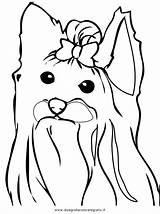 Coloring Pages Yorkie Terrier Drawing Dog Puppy Line Female Printable Beautiful 1e45 Yorkshire Color Cairn Highland West Getcolorings Print Getdrawings sketch template