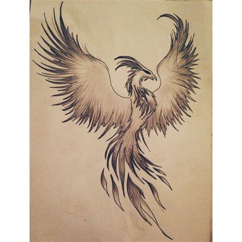 drawings   phoenix ave fenix dibujo tatuajes de aves fenix