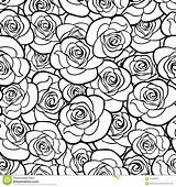 Roses Contours sketch template