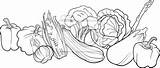 Verduras Kolorowanka Warzywa Vegetables Colorare Vector Frutas Cereales Warzyw Asparago Disegni Naklejka Komiks Ilustración Redro Prace Obraz Pietruszka Materiały Tego sketch template
