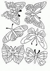 Coloring Butterfly Pages Schmetterling Butterflies Coloriage Papillon Malvorlagen Zum Patterns Colouring Ausmalen Coloringpages1001 Vorlage Malvorlage Vorlagen Gemerkt Von Schmetterlinge Ausdrucken sketch template