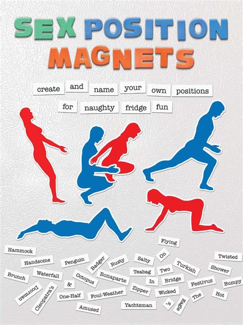Sex Positions Magnets Book Summary And Video Official Publisher Page