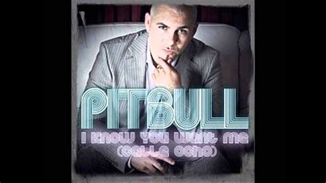 Pitbull I Know You Want Me Mixed Ft International Love