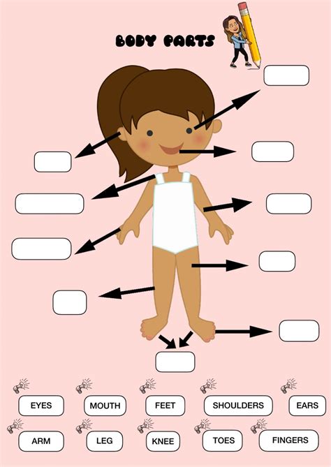 body parts  exercise   infantil