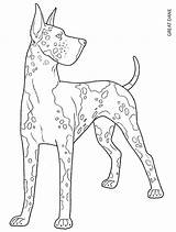 Dane Dogs Doverpublications Dover Designkids sketch template