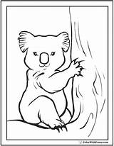 Koala Coloring Pages Baby Kangaroo Cute Kids Searches Worksheet Recent Koalas Colorwithfuzzy sketch template