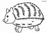 Tiere Igel Waldtiere Ausmalbilder Malvorlagen Malvorlage Kostenlose Hedgehog Lachender Zeichnen X13 sketch template