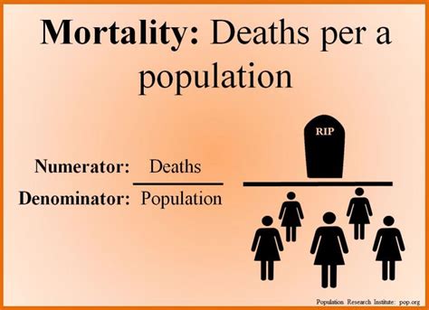 Definitions Of Maternal Mortality Pri