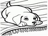 Dog Coloring Small Pages Getdrawings sketch template
