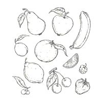 fruit  vegetable page    coloring pages surfnetkids