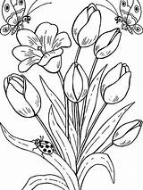 Bunga Mewarnai Anak Tk Tulips Paud Gaddynippercrayons sketch template