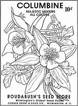 Seed Coloring Packets Flower Pages Vintage Book Dover Publications Seeds Doverpublications Drawing Welcome Colouring Titles Browse Complete Catalog Over Choose sketch template