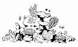 Barrier Corail Korallen Becuo Reefs Marine Coloriageetdessins Getdrawings Designlooter sketch template