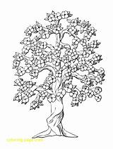 Coloring Tree Pages Oak Peach Drawing Life Flower Color Kids Colouring Trees Adults Printable Getcolorings Complicated Spring Adult Drawings Family sketch template
