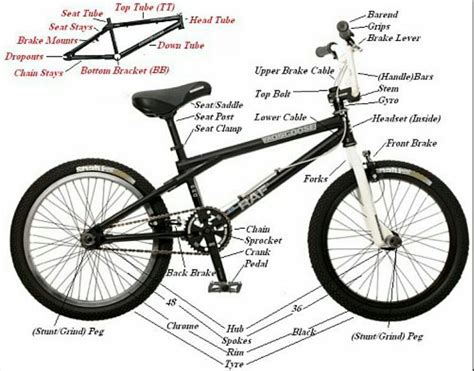 bike parts  chart list  bicycle parts  alphabetic order  diagram   detail