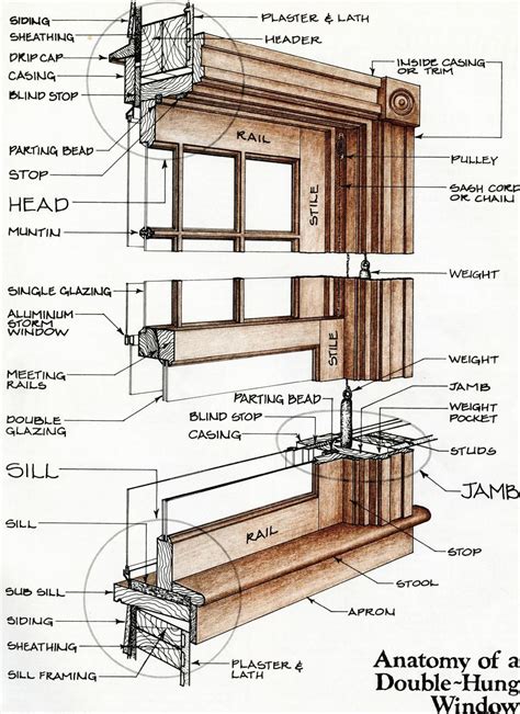 anatomy   double hung window window construction architecture details double hung windows