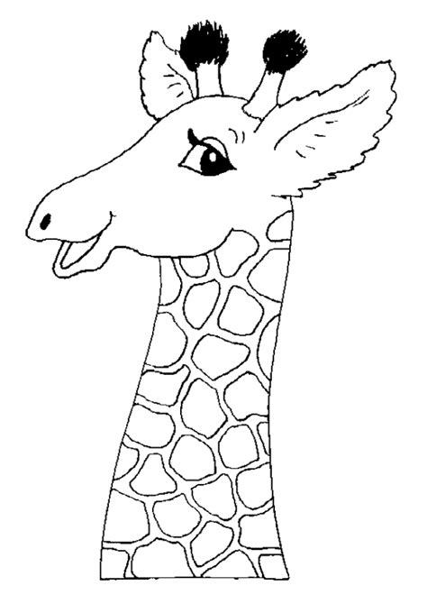 comment dessiner une girafe facile comment dessiner la tete  une