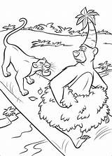 Selva Ausmalbilder Giungla Colorare Dschungelbuch Colorat Pages Mowgli Junglei Cartea Ausdrucken Planse Livre Pintar Disegno Baloo Websincloud Desene Coloriage Stampaecolora sketch template