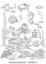 Coloring Book Ocean Pages Sea Drawing Bottom Books Draw Shutterstock sketch template