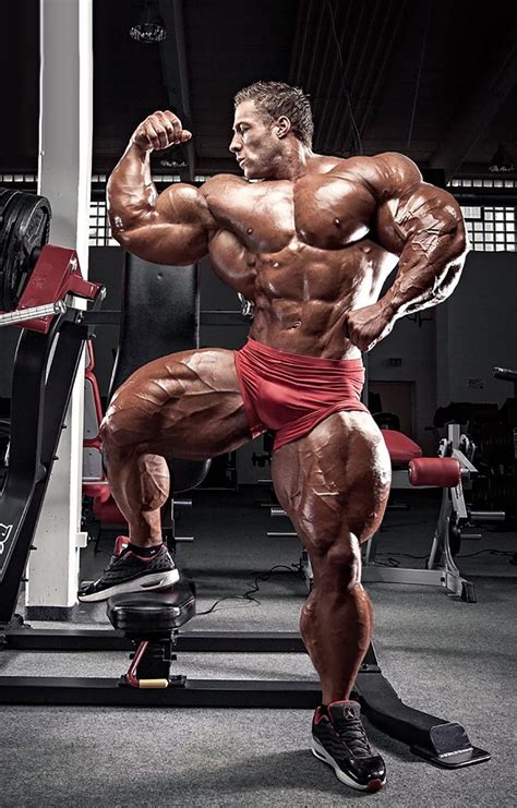 muscle morphs  hardtrainer power house pinterest muscles male bodybuilders