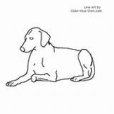 Dog Lying Down Coloring Drawing Person Drawings Pages Line Color 37kb 500px Sketch Back Paintingvalley sketch template