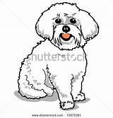 Bichon Maltese Dog Frise Clipart Vector Drawing Poodle Sitting Clip Stock Sketch Happy Illustration Google Perro Dibujo Draw Cartoon Dibujos sketch template