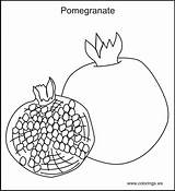 Pomegranate Coloring Printable Pages Pomegranates Colouring Children Kids Worksheet Seeds sketch template