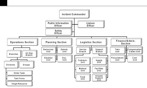 sample chart  ics organization