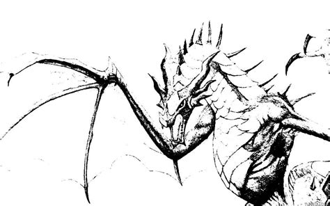 realistic dragon coloring page turkau