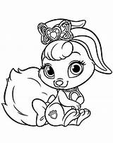 Bunny Coloring Pages Berry Colorkid Pets Girls Royal sketch template