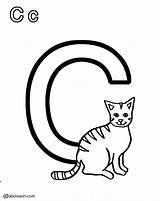 Coloring Cc Cat Pages Activity sketch template
