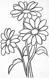 Embroidery Coloring Flower Patterns Choose Board Margarita sketch template