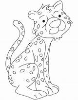 Cub Cheetah Coloring Drawing Getdrawings Pages sketch template