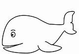 Whale Coloring Kids Clipart Clip Lowercase Pages Print Printing Printable Alphabet Worksheet Shark Color Trace Letter Write Cliparts Handwriting Writing sketch template