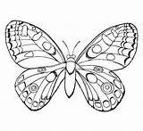 Schmetterling Borboleta Schmetterlinge Druku Kolorowania Motyl Motyle Malvorlagen Zitronenfalter Malen Mandalas Stadriemblems Borboletas Kleid Malvorlagentv Barvanje sketch template