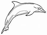 Coloring Pages Dolphins Realistic Dolphin Kids Printable Color Dophin Ikan sketch template