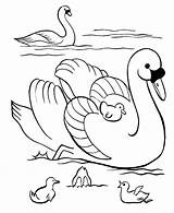 Duck Coloring Pages Color Print Coloring2print sketch template