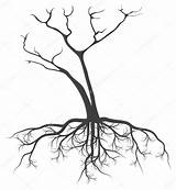 Roots Tree Drawing Vector Dead Family Stock Background Coloring Illustration Draw Simple Depositphotos Paintingvalley Arbre Template Tattoos Tattoo Choose Board sketch template