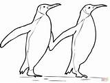 Penguin Coloring King 61kb 1500 sketch template