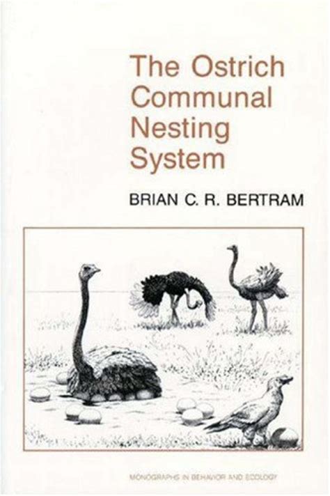 ostrich communal nesting system nhbs academic professional books
