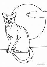 Cat Coloring Pages Printable Kids Cool2bkids sketch template