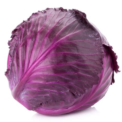 biviano direct cabbage red   cut