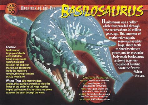 basilosaurus spp  world  animals