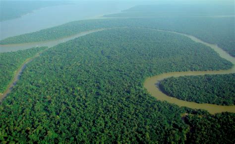 fileaerial view   amazon rainforestjpg wikimedia commons