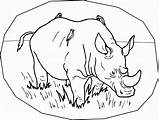 Coloring Pages Rhino Rhinoceros Printable Animals Kids Endangered Rhinos Color Colouring Rainforest Preschool Print Species Child Animal Fun Popular Baby sketch template