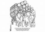 Oxen Coloring Cart Pages Edupics sketch template