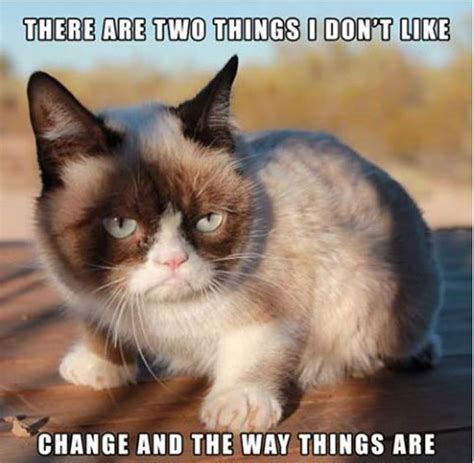 the grumpiest grumpy cat memes to sadden your day snappy pixels