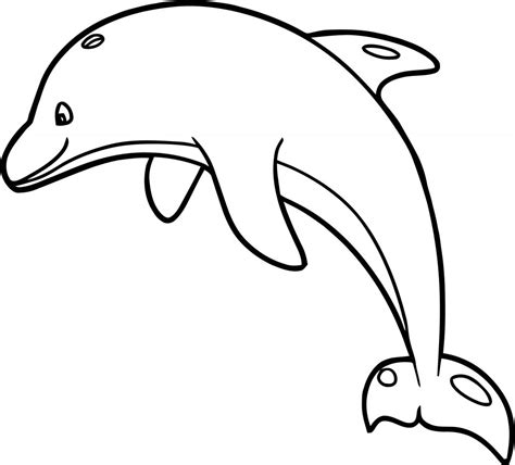 dolphin coloring page wecoloringpagecom