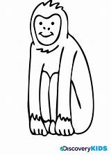 Monkey Coloring Kids Discovery sketch template